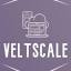 VeltScale logo