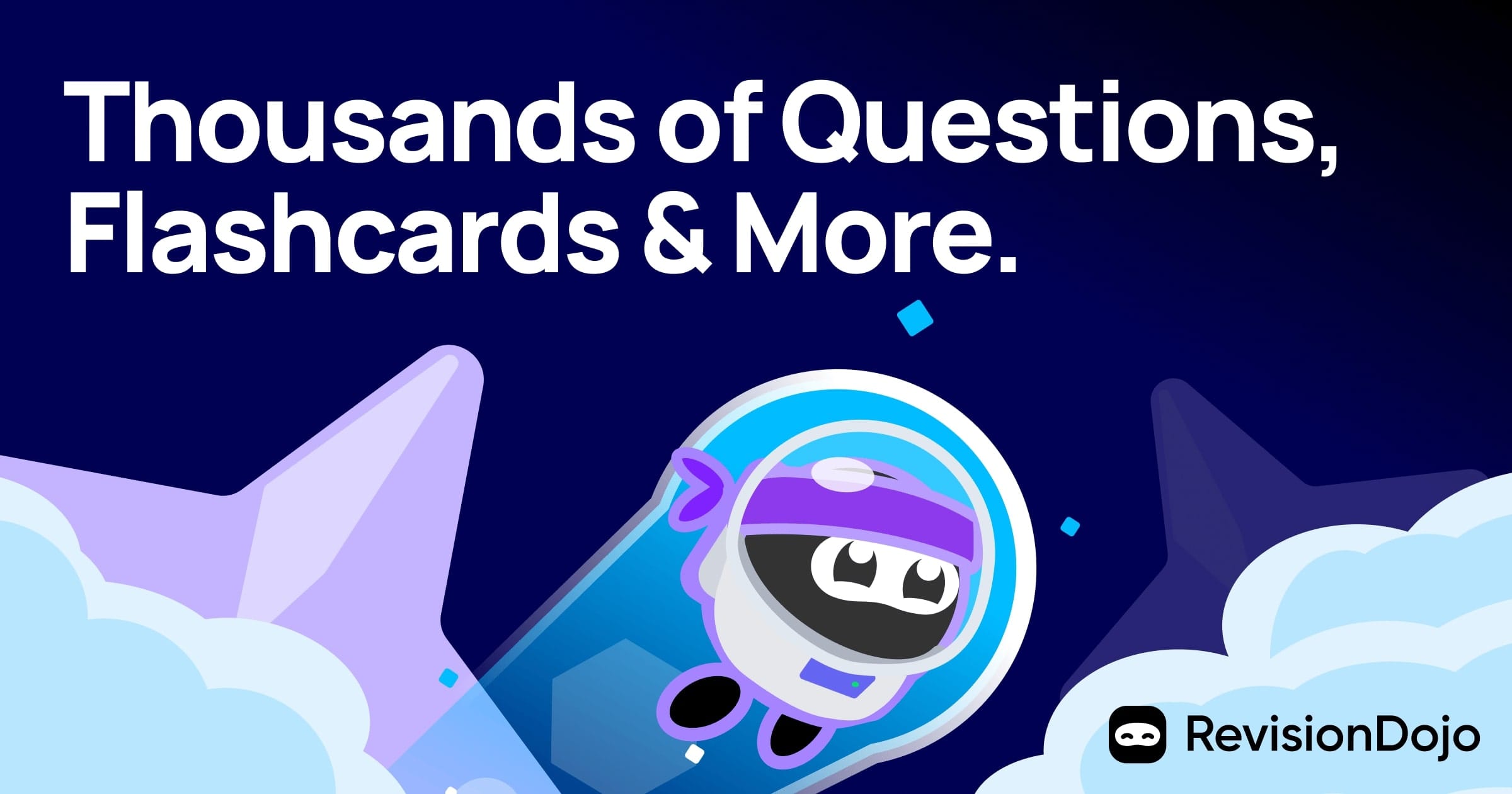 RevisionDojo